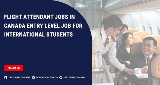 Flight Attendant Jobs in Canada For Foreigners | Apply Online Flight Attendant Jobs in Canada